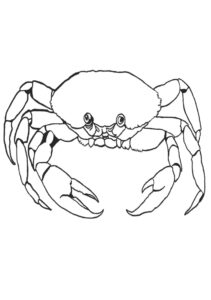 010 – De krab