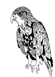008 – Valk