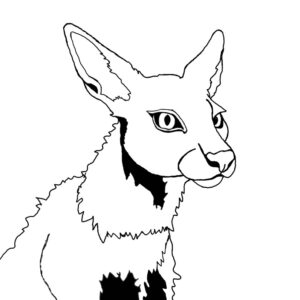 013 – de Vhatka 2